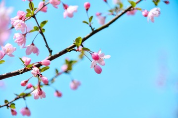 561C39BB-4B8F-4E68-9344-21262B8C8B90/L0/001