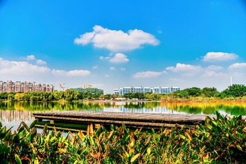 4778C5D5-3D33-4178-B414-DD287948FAF9/L0/001