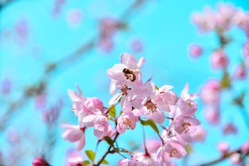 E6FA5295-D00A-496F-8562-E6CB5503C335/L0/001