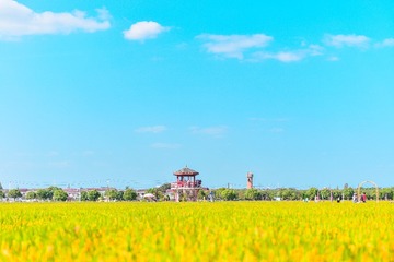 F93B0C8D-57AC-4109-8CFE-FD67EA75532E/L0/001