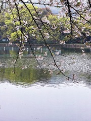 C9A5E03E-E4C6-4403-8B8B-AF99CE63C34C/L0/001