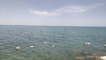 5E896574-9B53-4D28-9116-ECD37BFEDA89/L0/001