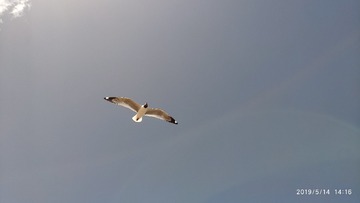 2C345FE0-D18C-40E8-85C1-20B4F1551268/L0/001