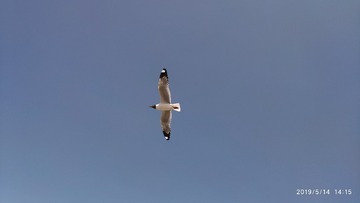 C24B3118-805B-475D-9788-B7221F322CA3/L0/001