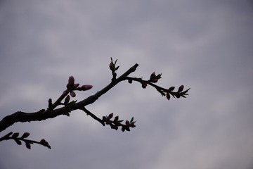 F7DD7596-D7A7-4E9E-9EF4-FE7C921B9645/L0/001
