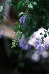 161A6087-F38F-4B66-871A-5EC59A73CD47/L0/001