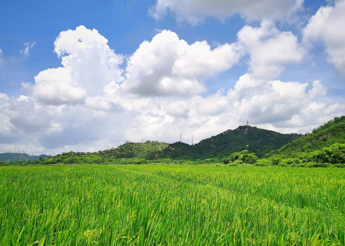 拍摄于潮安区梅林湖风景区