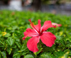 178A1FD9-FA9B-46F0-83DF-4EF167D67EB7/L0/001
