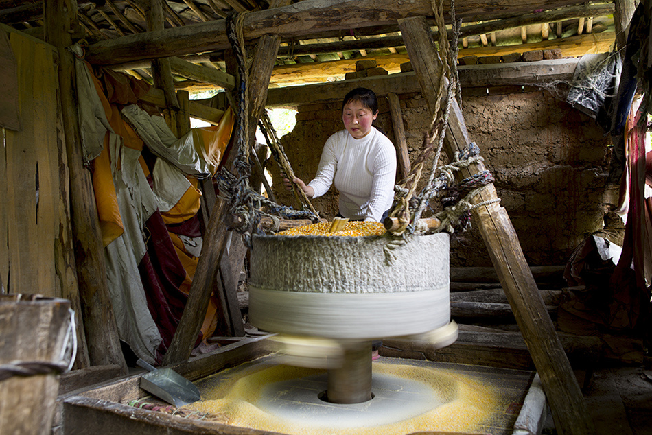 《深山定制水磨房玉米粉》photo 08陈俊