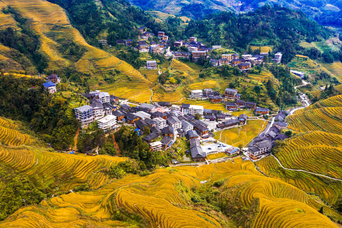 第12期国元证券杯乡村振兴百业兴旺共同富裕全国摄影大展参赛作品欣赏