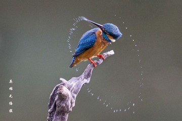 英雄无悔_相机_小翠戏水_1563809831791U4A8Iw