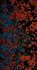 F4379E0A-9A50-4B9A-B248-5C2185B7DEBC/L0/001