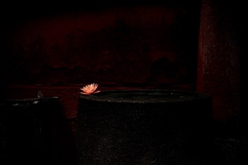 77A3557C-E99A-4C58-9BC6-BD7D8D0B9CAF/L0/001