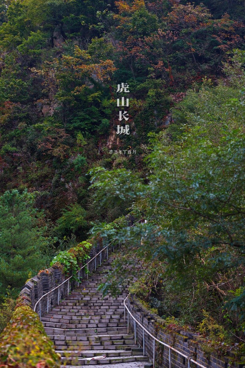   ɽ -  - ͼ