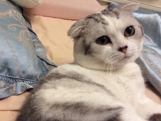 48507