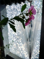 D41C5197-0CE2-45C6-B433-2CC389EBC669/L0/001