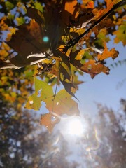 8EC6CFCB-1E38-4CE2-AB31-2897FC354681/L0/001