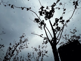 9398C462-5738-4336-9F4D-BA900A7D74D1/L0/001
