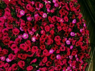 82F5A486-A3B5-40FC-9597-D0427DA4B71D/L0/001
