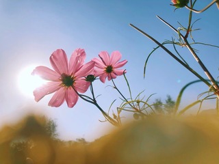 E3CBE297-48C0-4A4A-B133-F6C365C35F0E/L0/001