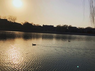 6A3601D8-0B7C-4673-8BCE-D2B8AC2B3AD7/L0/001