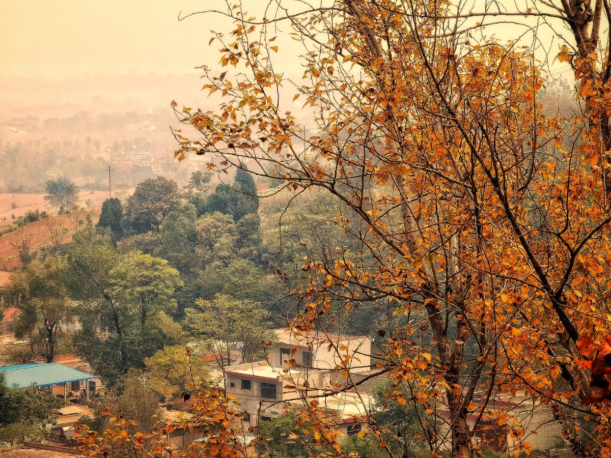 山村秋色