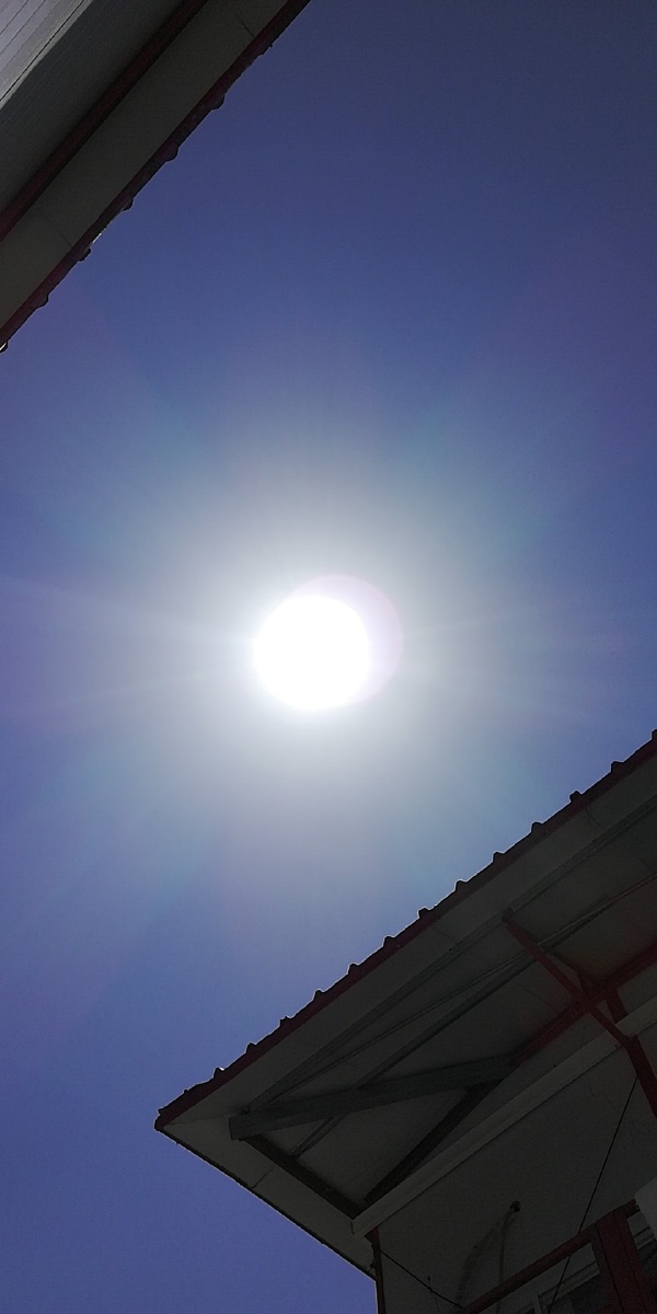 太阳太大不想出去