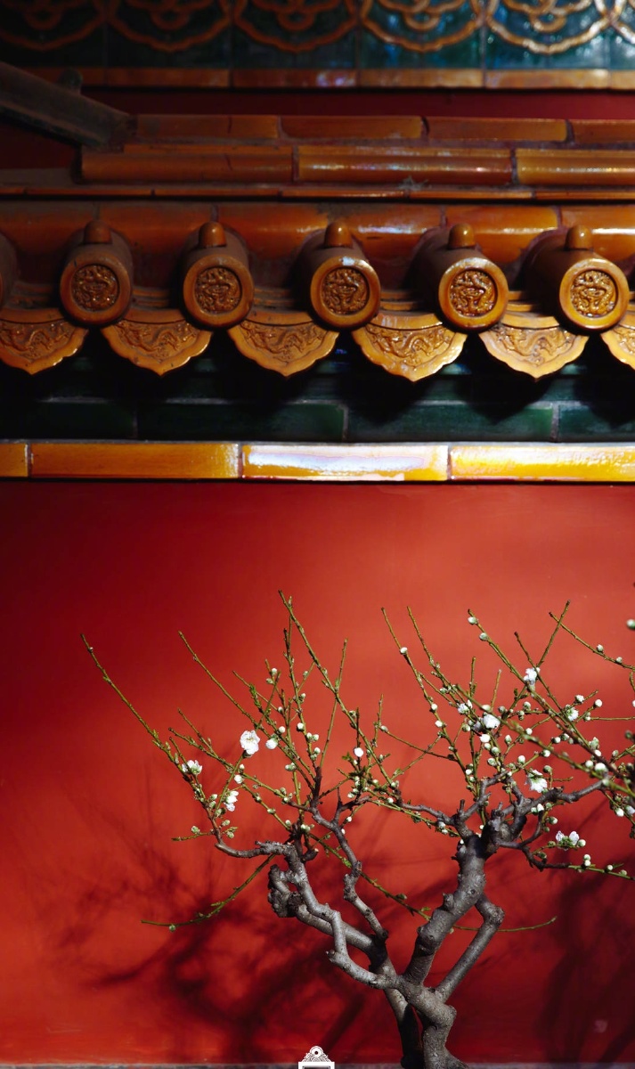 我眼中故宫的春天 - 猪儿虫413 - 图虫