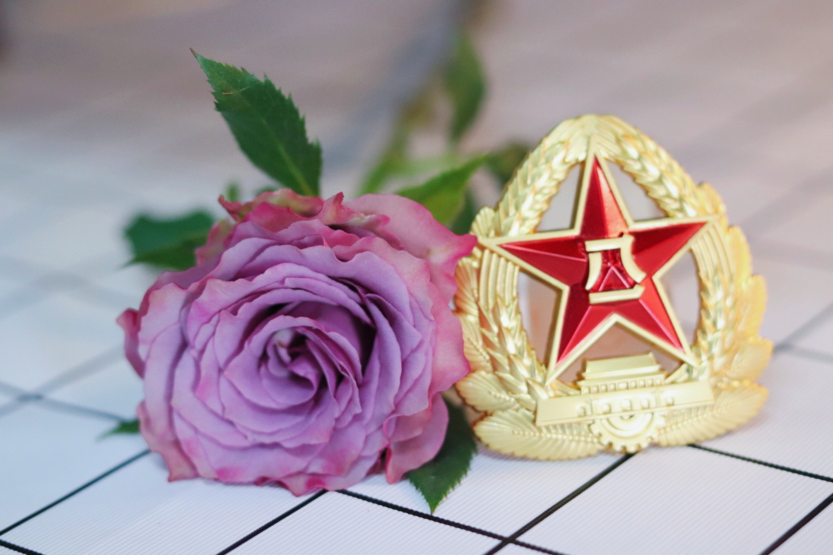 是谁来自山川湖海却热衷迷彩钢枪与玫瑰