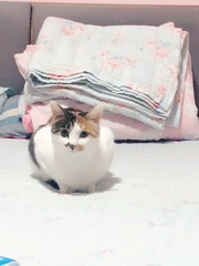 001