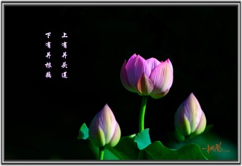 001
