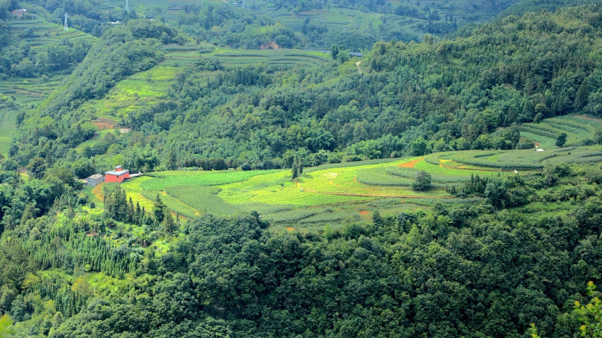 云南省建水县坡头乡彝族小山村