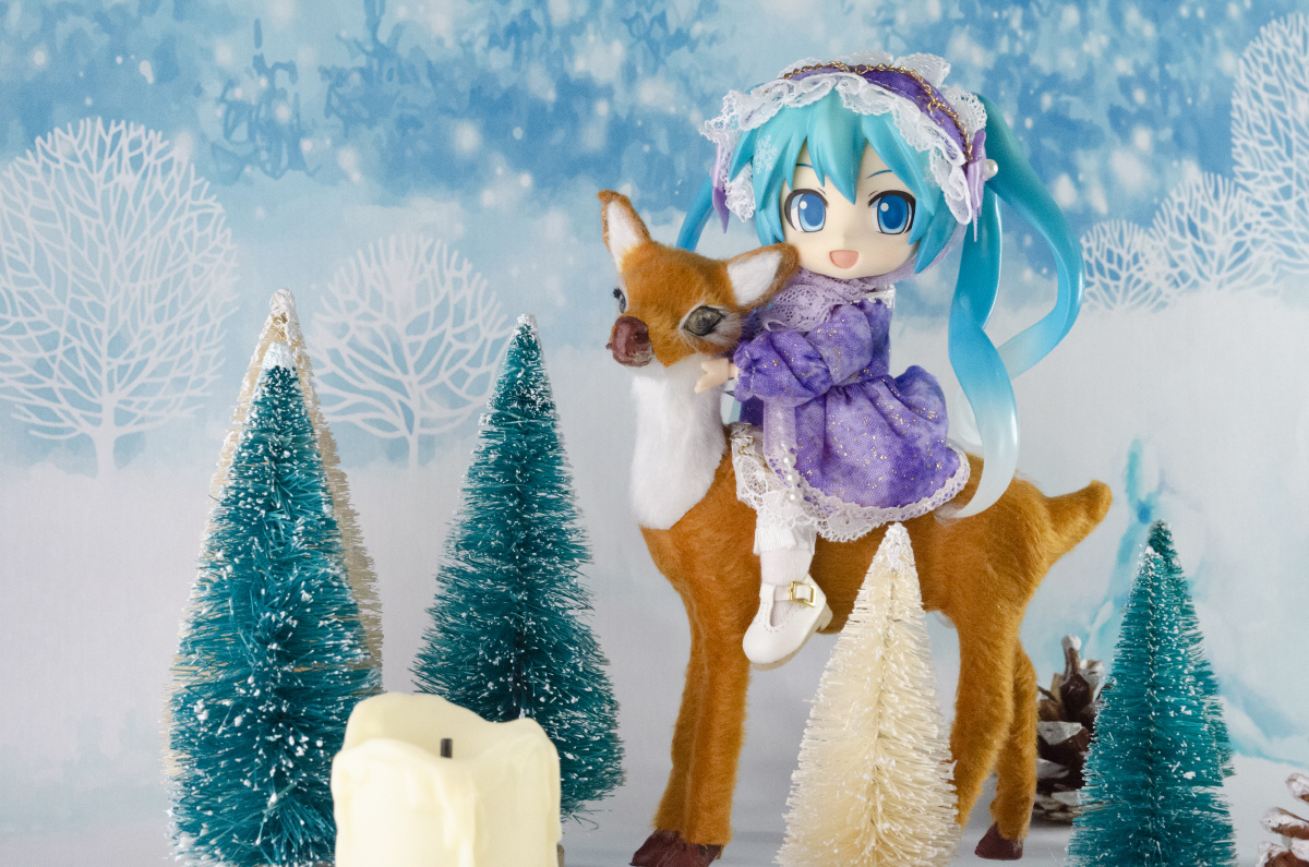 嘿,欢迎来到雪之国哦