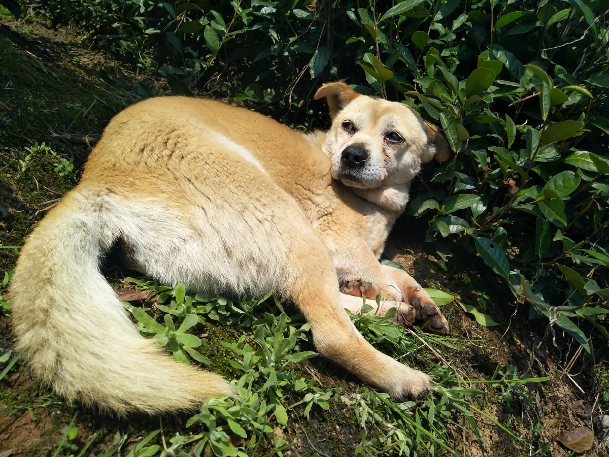15 帅气一下 - 瘦的美不胜收 - 图虫