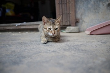 0A943135-38DA-4F47-9B53-686F1DAAE3EF/L0/001