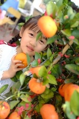 D900D1D2-EE45-48E3-8412-B22511950F07/L0/001