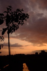 CD4DF509-6B67-4F58-B4C3-B83A44ED79B1/L0/001