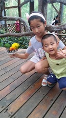 8740