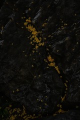 1000031564