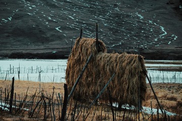 D2F61CBE-2EE9-4AD2-A75F-30B80056E0B7/L0/001
