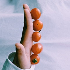 3445738