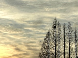 56BF767D-B8F3-49D7-A0F3-05A5D279E33C/L0/001