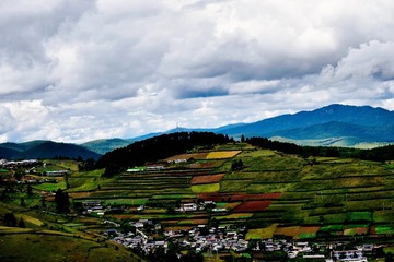 91F635D5-635B-4F7E-B6D7-420334962BC3/L0/001
