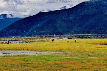 A24BBBF1-A8C9-49B6-9006-D9DA09442216/L0/001