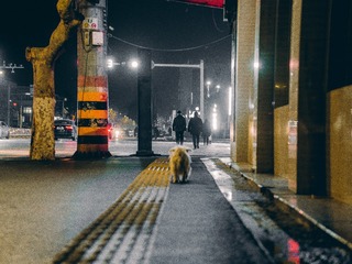2039270