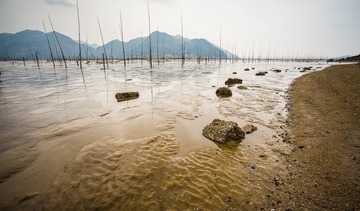 _DSC7864