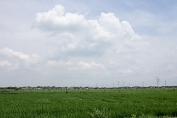 13EB267A-5DC2-49EB-B847-D678AD228713/L0/001