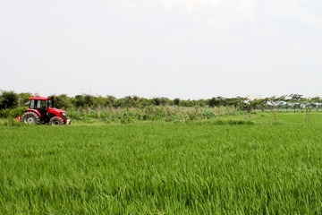 BC5376C5-1F5B-408C-9D07-4F0EDE9ACE50/L0/001