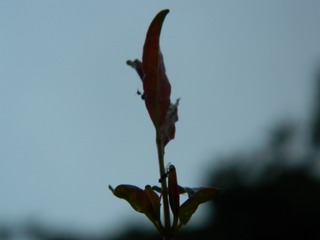 1490554