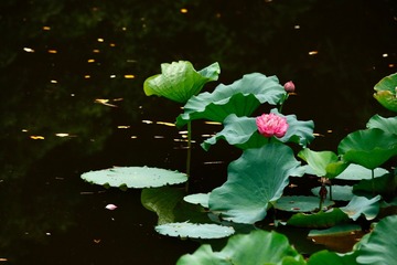 001